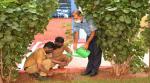 Tree plantation conducted at Indian Coast Guard premises